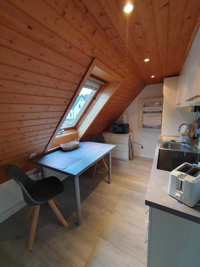 Ferienwohnung Haenel Antonshohe Exterior foto