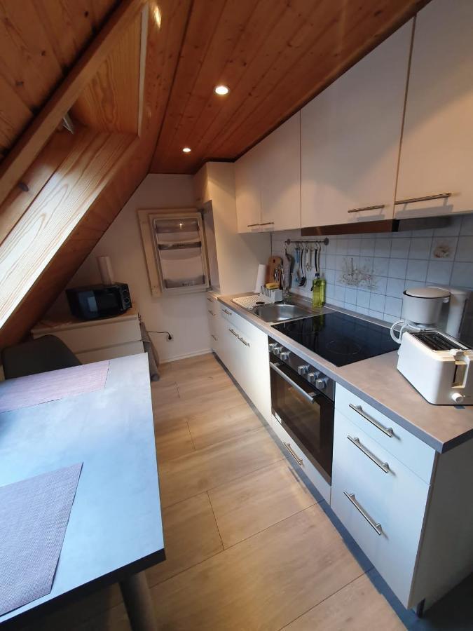Ferienwohnung Haenel Antonshohe Exterior foto